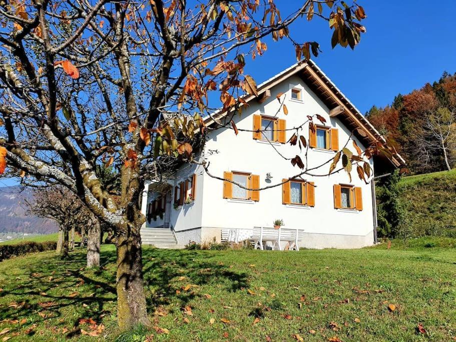Villa House Pucnk-Beautiful Countryside Zelezniki Exterior foto