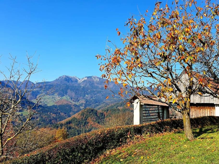Villa House Pucnk-Beautiful Countryside Zelezniki Exterior foto